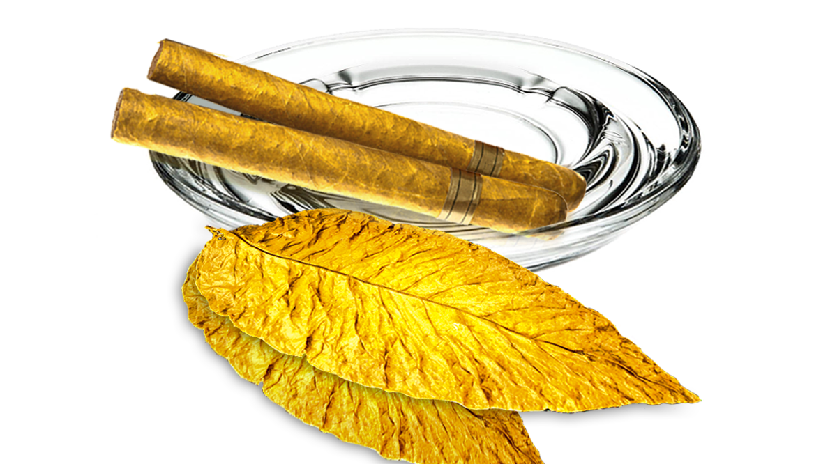 Traditional Flavors Traditional Flavors